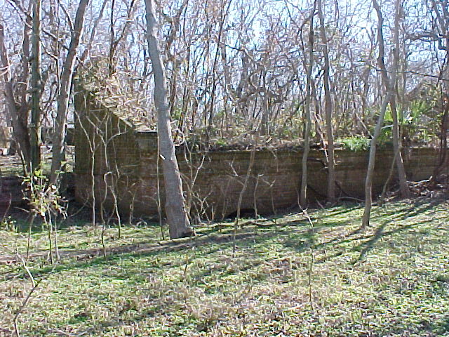 356.jpg