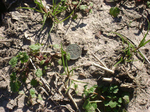 dsc00921.jpg
